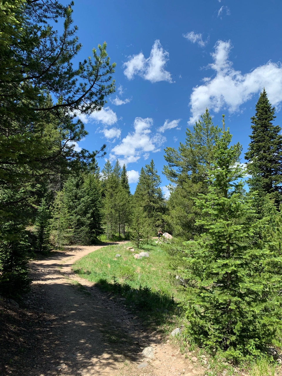 Photo of Jim Creek Trail, Idaho Springs, CO, USA by Shivani Patil