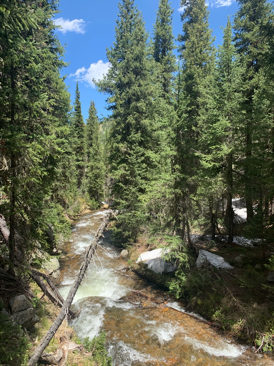 Photo of Jim Creek Trail, Idaho Springs, CO, USA by Shivani Patil