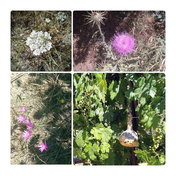 Photo of Pigeon Valley Hiking Trail, Cappadocia, Turkey 6/10 by The2Backpacks