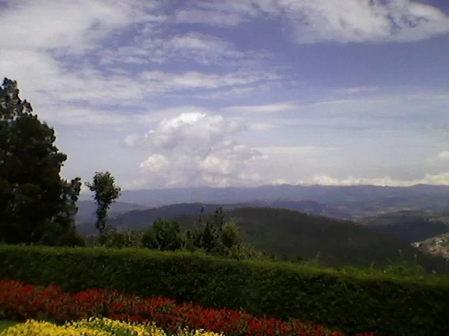 Photo of Government Botanical Garden, Ooty, Nilgiris, Tamil Nadu 643001, India by Sreoshi Bakshi