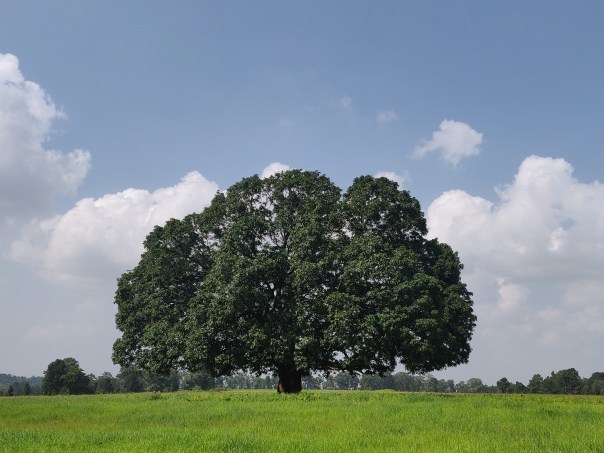 Photo of Dark Tourism Circuit : Jashpur, Chhattisgarh 2/22 by srijalism