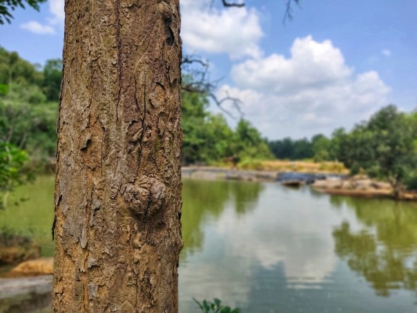 Photo of Dark Tourism Circuit : Jashpur, Chhattisgarh 5/22 by srijalism