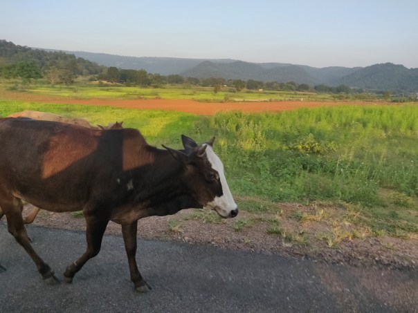Photo of Dark Tourism Circuit : Jashpur, Chhattisgarh 18/22 by srijalism
