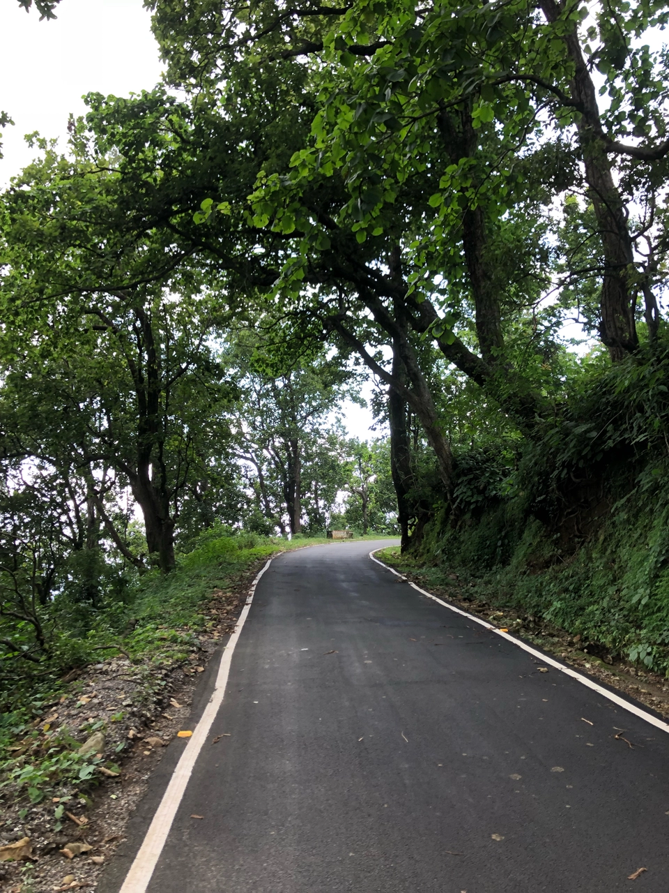 Photo of Beautiful Garden Between Dehradun And Rishikesh Called ITHARNA by Aayush malviya