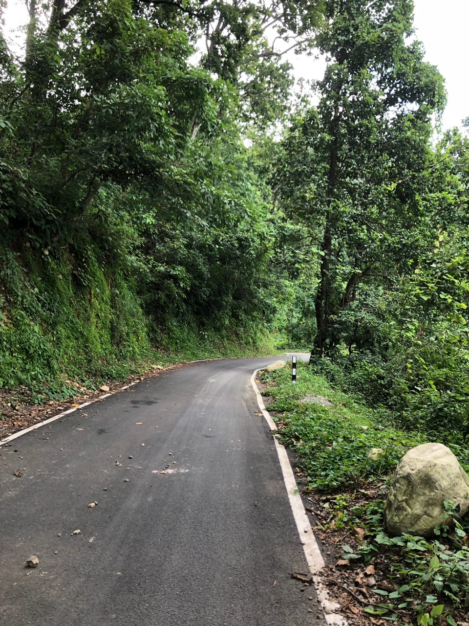 Photo of Beautiful Garden Between Dehradun And Rishikesh Called ITHARNA by Aayush malviya