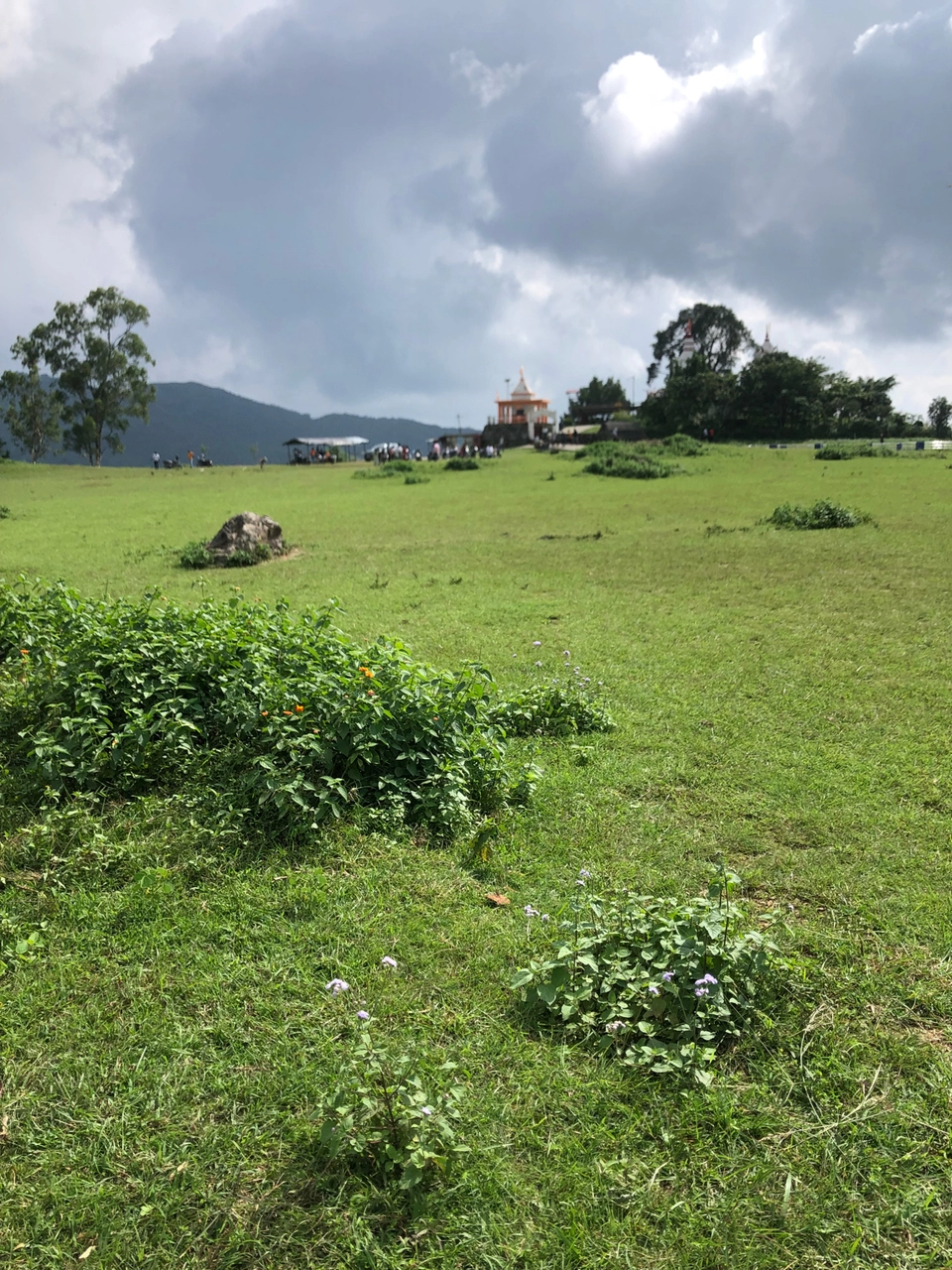 Photo of Beautiful Garden Between Dehradun And Rishikesh Called ITHARNA by Aayush malviya
