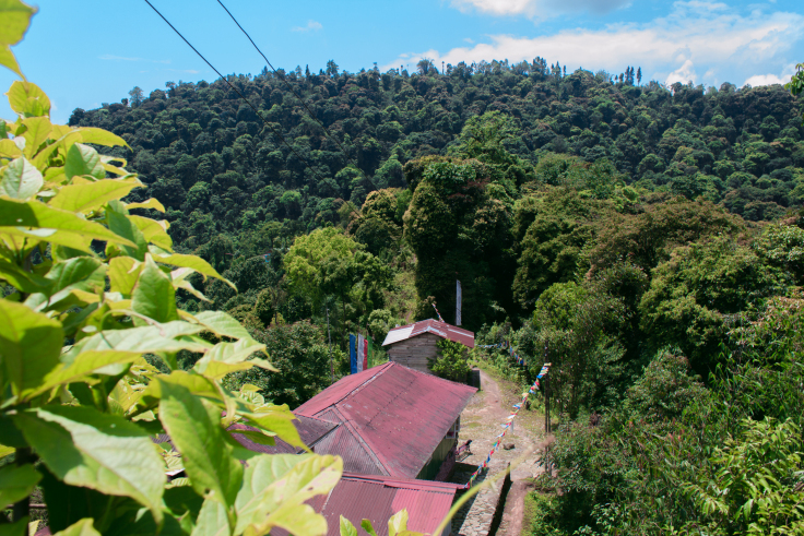 Photo of Khecheoplari Sanctuary Homestay: Wilderness and a pizza! 1/15 by Prakash Chettri