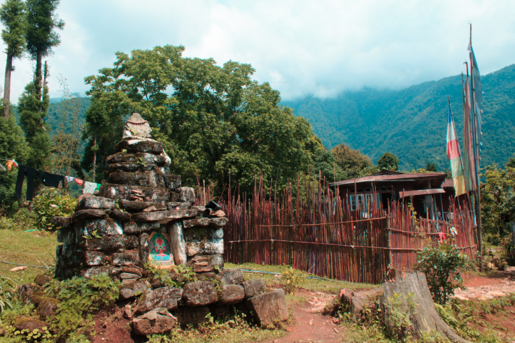 Photo of Khecheoplari Sanctuary Homestay: Wilderness and a pizza! 4/15 by Prakash Chettri