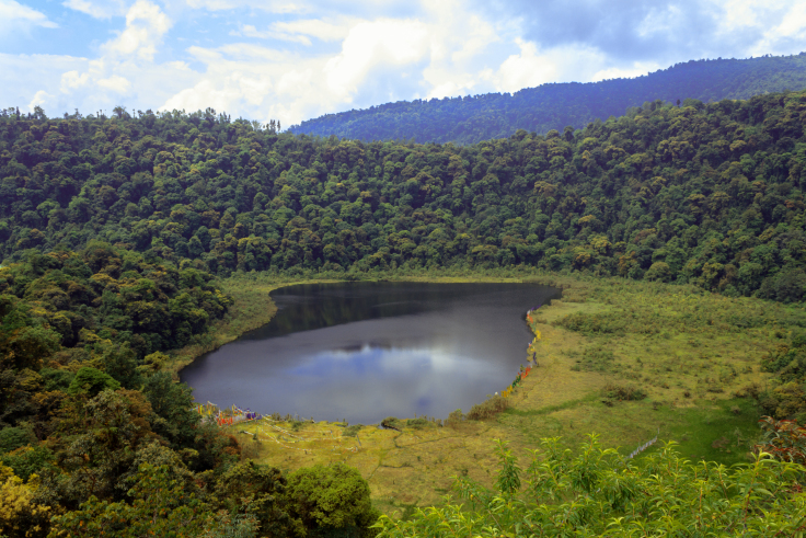 Photo of Khecheoplari Sanctuary Homestay: Wilderness and a pizza! 7/15 by Prakash Chettri