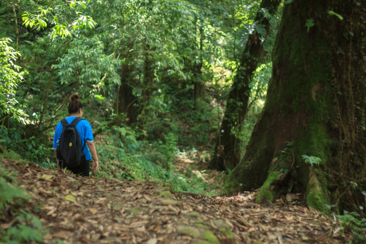 Photo of Khecheoplari Sanctuary Homestay: Wilderness and a pizza! 8/15 by Prakash Chettri