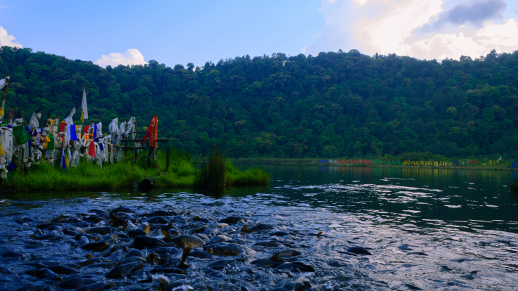 Photo of Khecheoplari Sanctuary Homestay: Wilderness and a pizza! 11/15 by Prakash Chettri