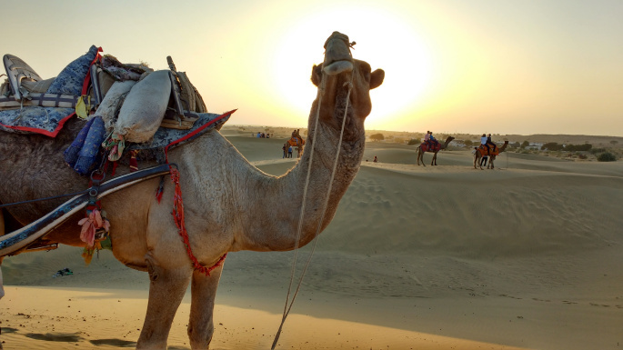 Photo of One of the best places to visit in Rajasthan:Jaisalmer 9/11 by Krishnendu Gupta