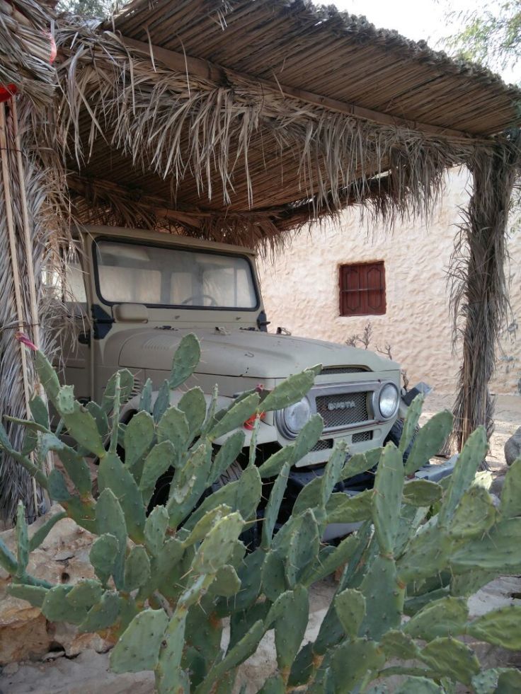 Photo of Al Reem Desert Camp - Overnight Desert Stay in Oman! 7/9 by Sherinscorner