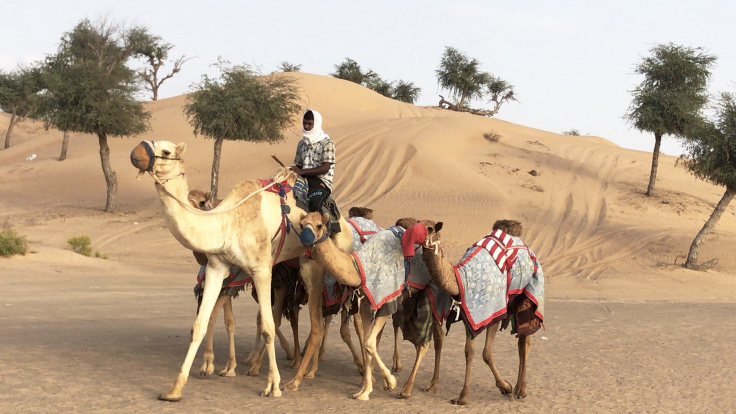 Photo of Al Reem Desert Camp - Overnight Desert Stay in Oman! 8/9 by Sherinscorner