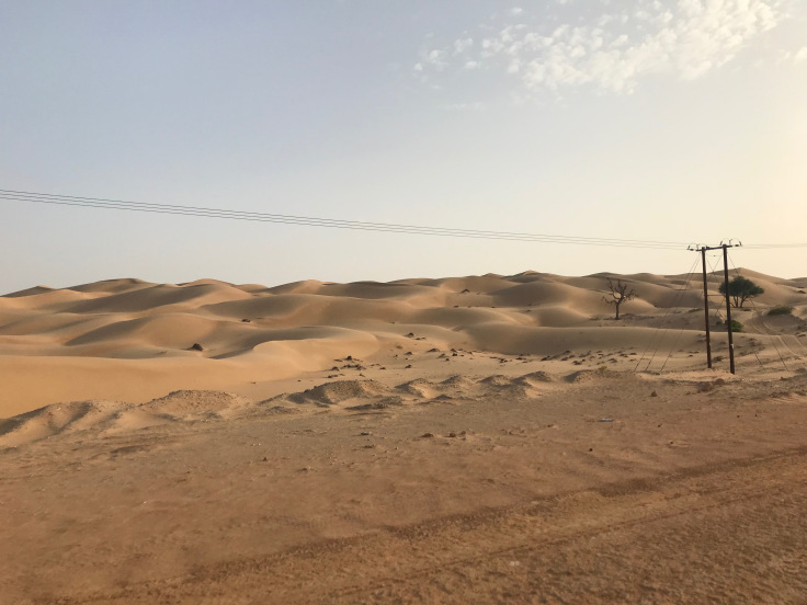 Photo of Al Reem Desert Camp - Overnight Desert Stay in Oman! 9/9 by Sherinscorner