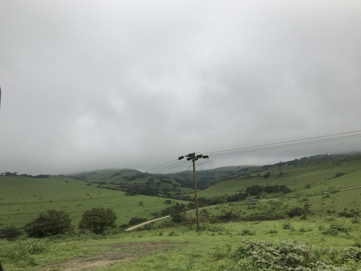 Photo of Road Trip To Salalah from Muscat - Travel Blog! 3/35 by Sherinscorner