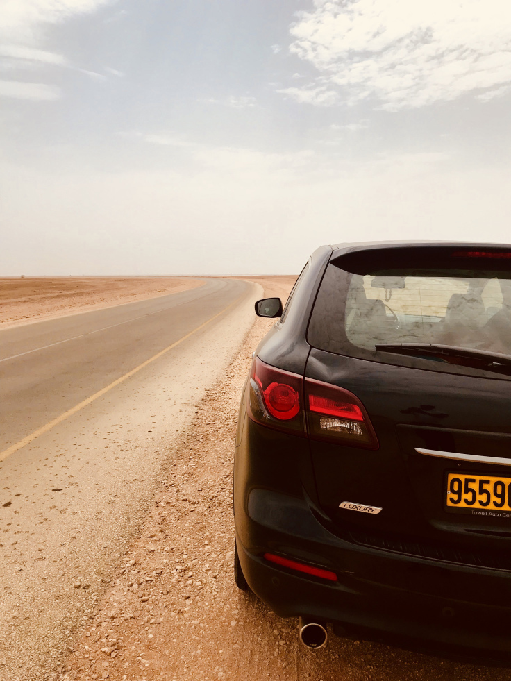 Photo of Road Trip To Salalah from Muscat - Travel Blog! 5/35 by Sherinscorner