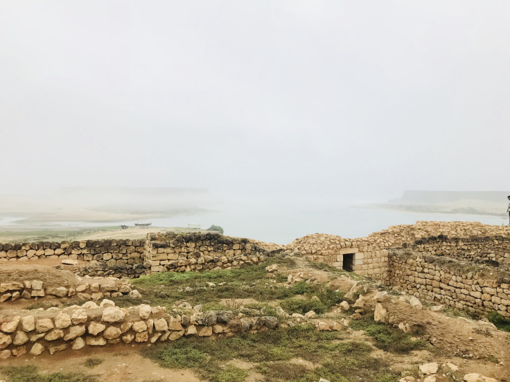 Photo of Road Trip To Salalah from Muscat - Travel Blog! 19/35 by Sherinscorner