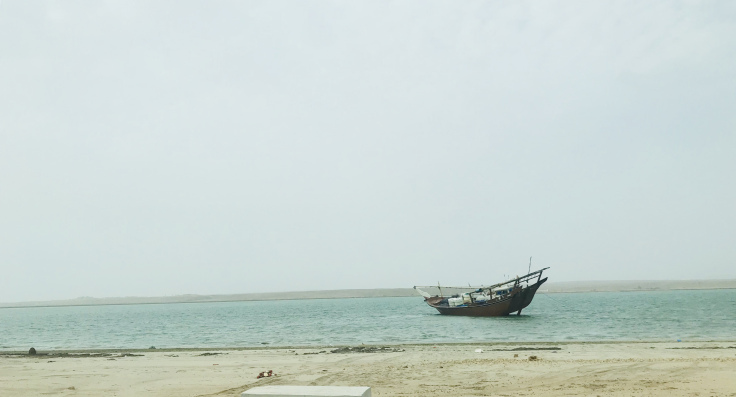 Photo of Road Trip To Salalah from Muscat - Travel Blog! 23/35 by Sherinscorner
