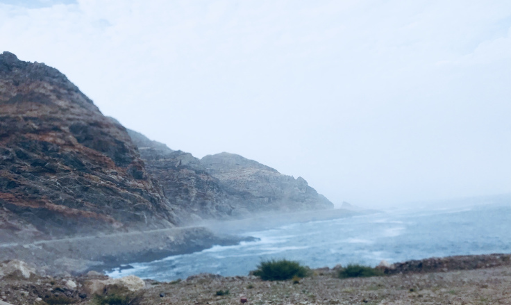 Photo of Road Trip To Salalah from Muscat - Travel Blog! 29/35 by Sherinscorner