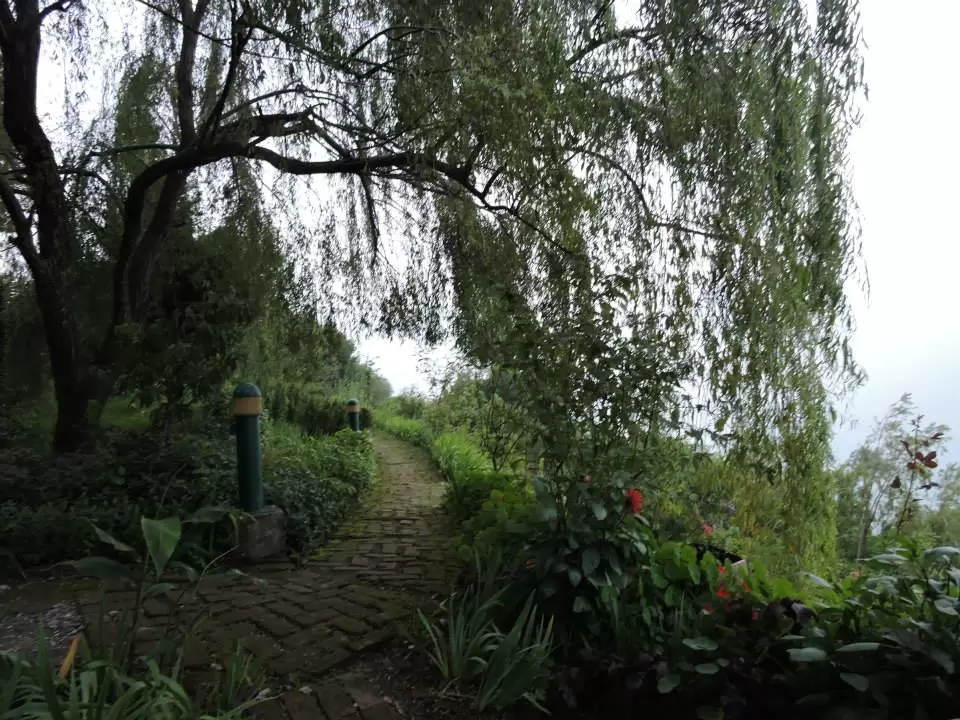 Photo of Ramgarh, Uttarakhand, India by gagandeep marwah