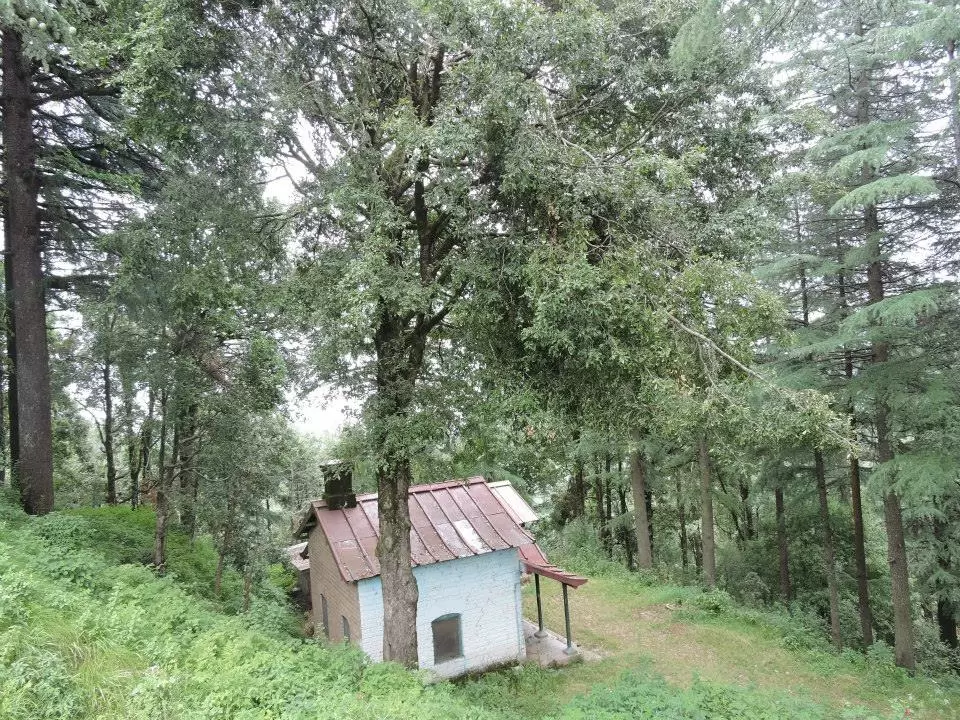 Photo of Ramgarh, Uttarakhand, India by gagandeep marwah