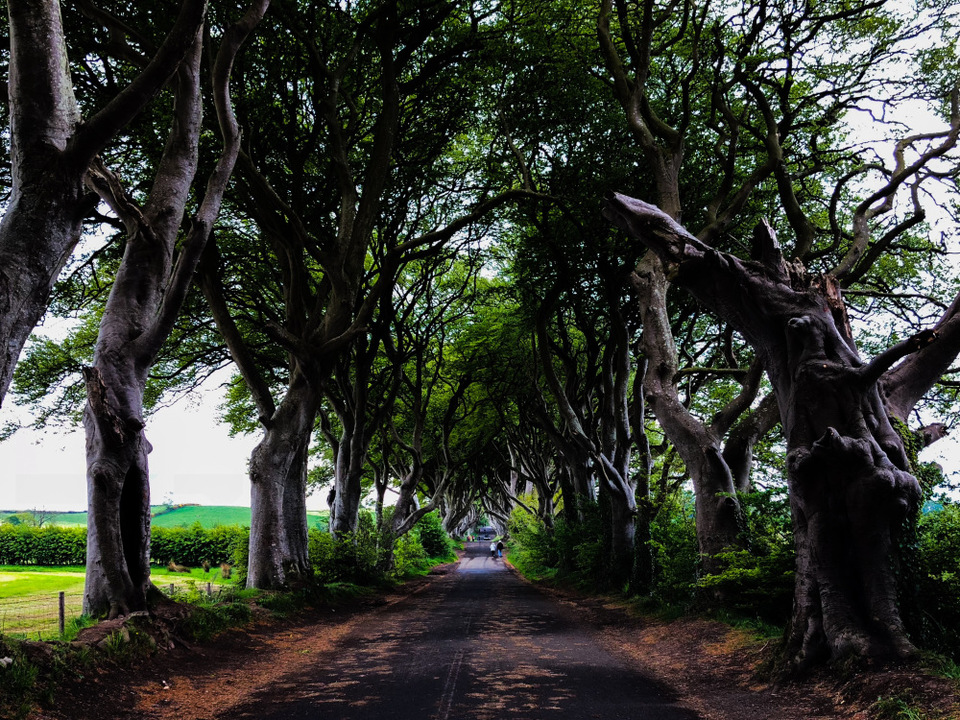 Photo of A 12 Days to 2 Weeks Travel Itinerary of Northern Ireland and the Republic of Ireland 4/21 by Sudarsana Changkakty Saikia
