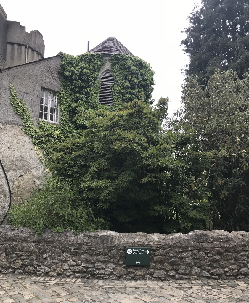 Photo of 5 days exploring Dublin and the East Coast 16/65 by Sudarsana Changkakty Saikia