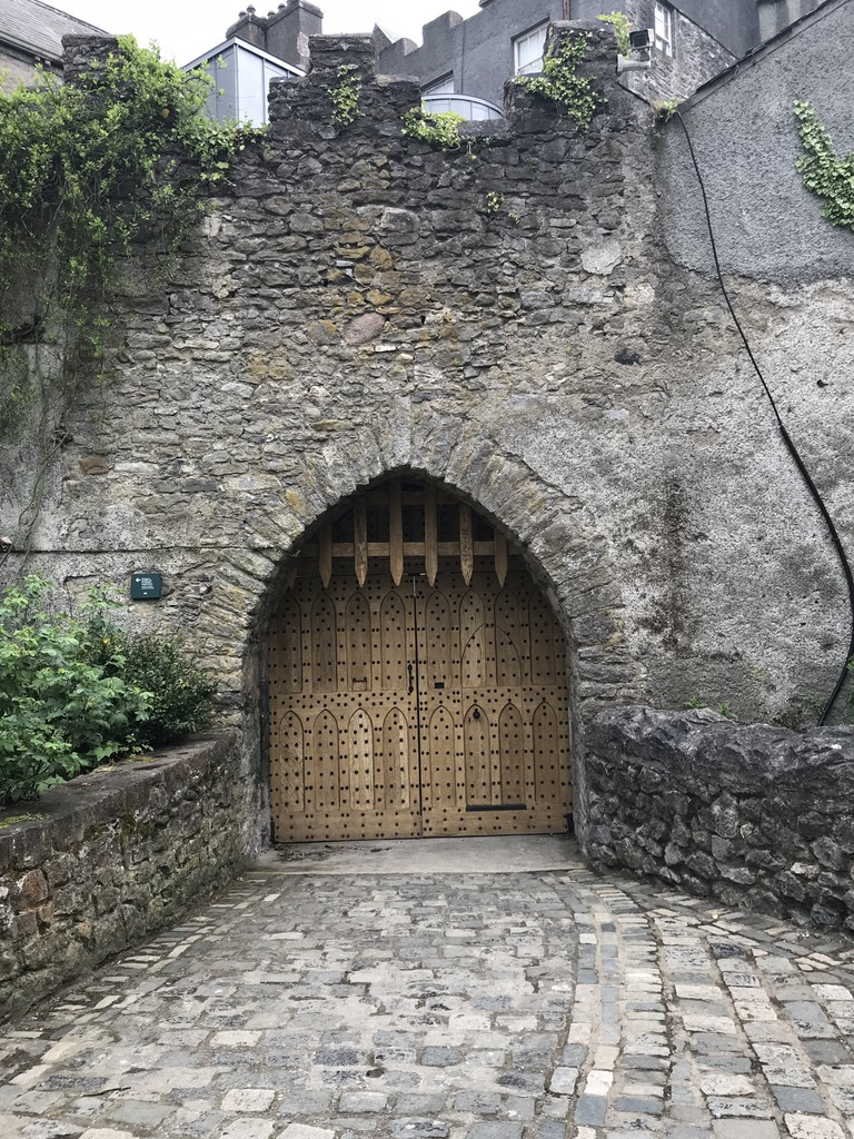 Photo of 5 days exploring Dublin and the East Coast 18/65 by Sudarsana Changkakty Saikia