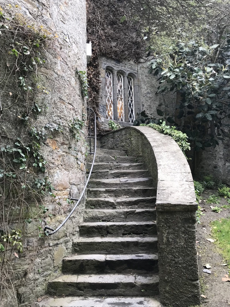 Photo of 5 days exploring Dublin and the East Coast 19/65 by Sudarsana Changkakty Saikia