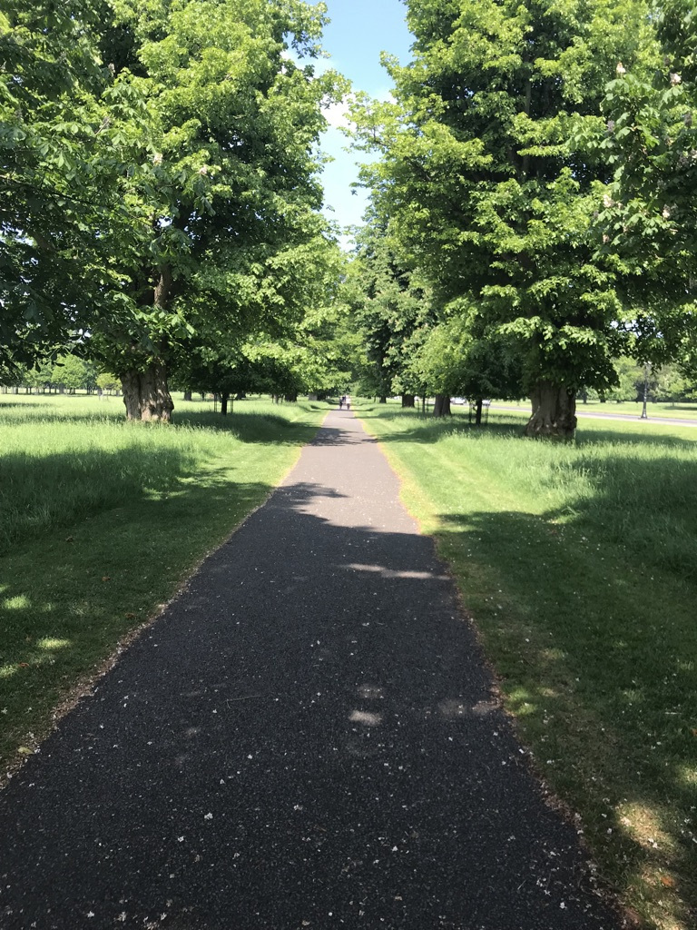Photo of 5 days exploring Dublin and the East Coast 28/65 by Sudarsana Changkakty Saikia