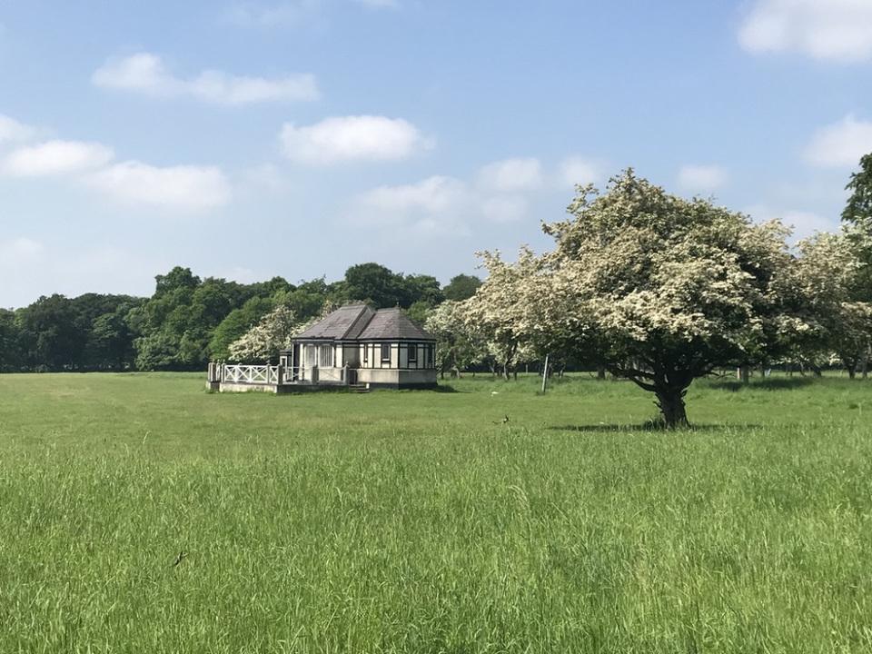 Photo of 5 days exploring Dublin and the East Coast 29/65 by Sudarsana Changkakty Saikia