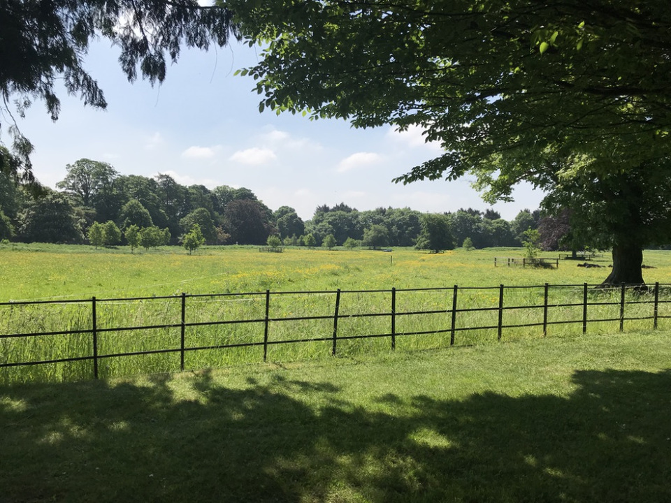 Photo of 5 days exploring Dublin and the East Coast 34/65 by Sudarsana Changkakty Saikia