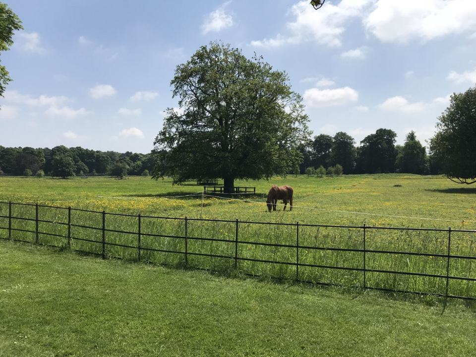 Photo of 5 days exploring Dublin and the East Coast 35/65 by Sudarsana Changkakty Saikia