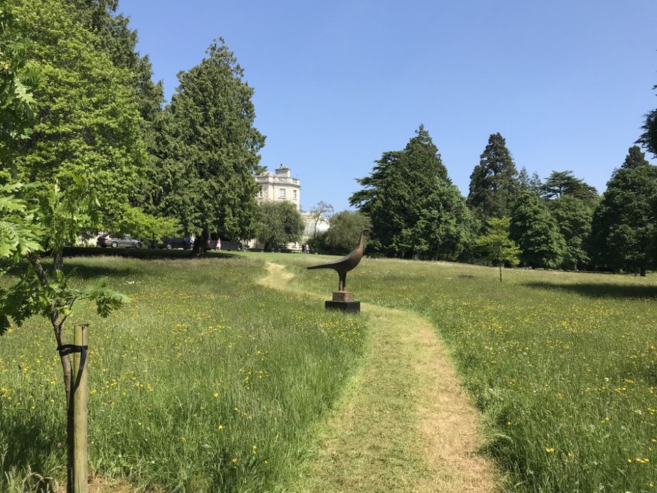 Photo of 5 days exploring Dublin and the East Coast 36/65 by Sudarsana Changkakty Saikia