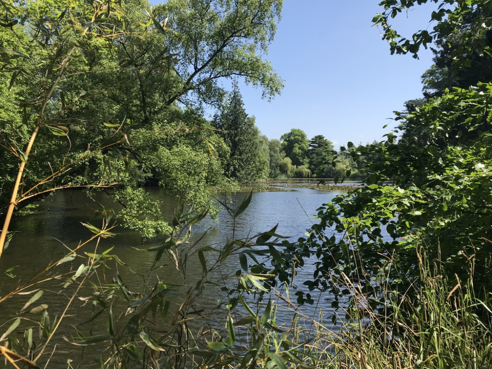 Photo of 5 days exploring Dublin and the East Coast 37/65 by Sudarsana Changkakty Saikia