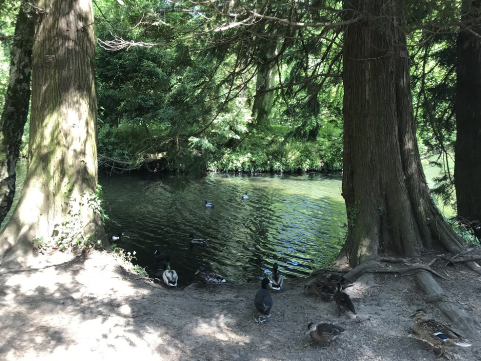 Photo of 5 days exploring Dublin and the East Coast 38/65 by Sudarsana Changkakty Saikia