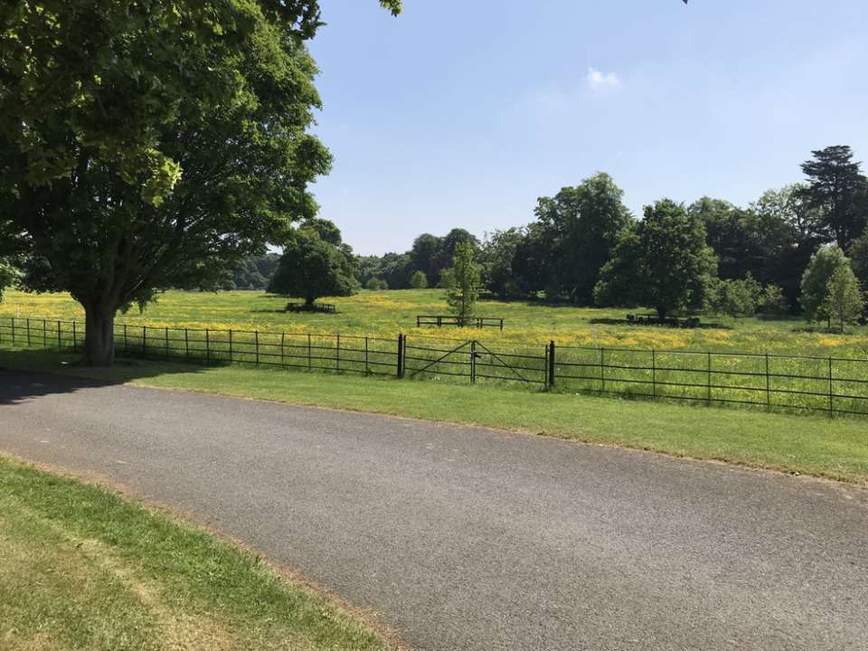 Photo of 5 days exploring Dublin and the East Coast 39/65 by Sudarsana Changkakty Saikia