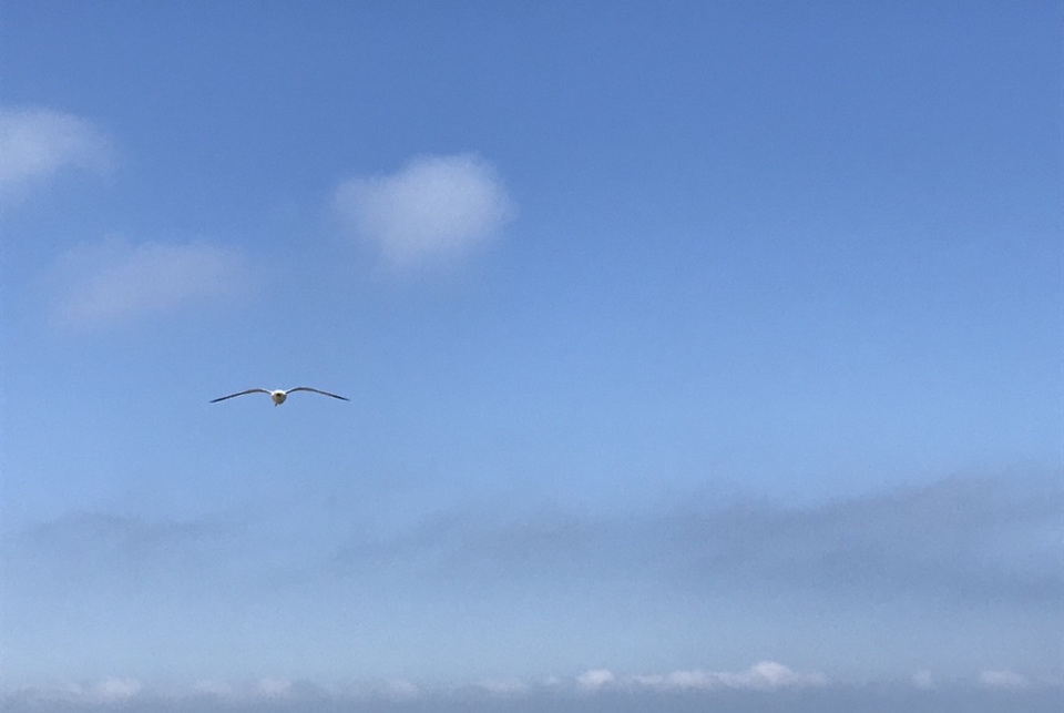 Photo of 5 days exploring Dublin and the East Coast 48/65 by Sudarsana Changkakty Saikia