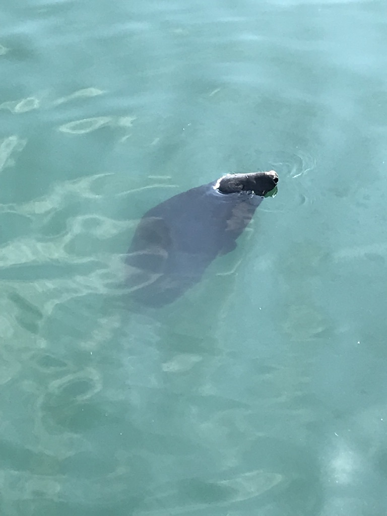 Photo of 5 days exploring Dublin and the East Coast 50/65 by Sudarsana Changkakty Saikia