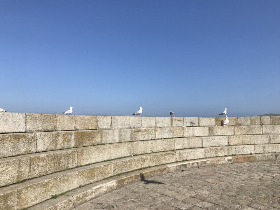 Photo of 5 days exploring Dublin and the East Coast 51/65 by Sudarsana Changkakty Saikia