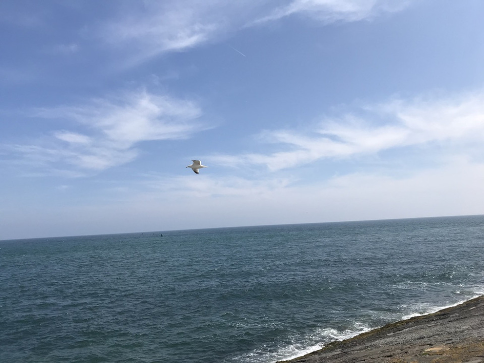 Photo of 5 days exploring Dublin and the East Coast 61/65 by Sudarsana Changkakty Saikia