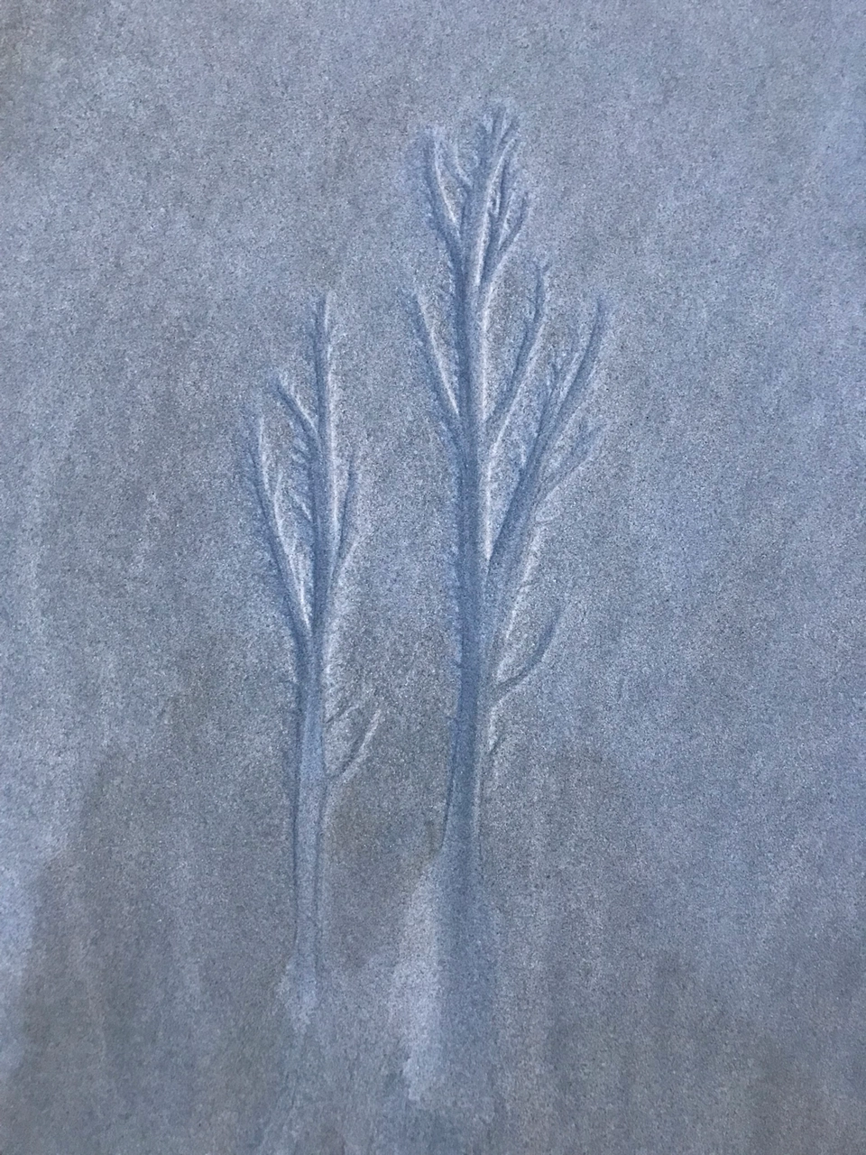 Photo of Havelock Island, Andaman and Nicobar Islands by Nagi Reddy Kaipu