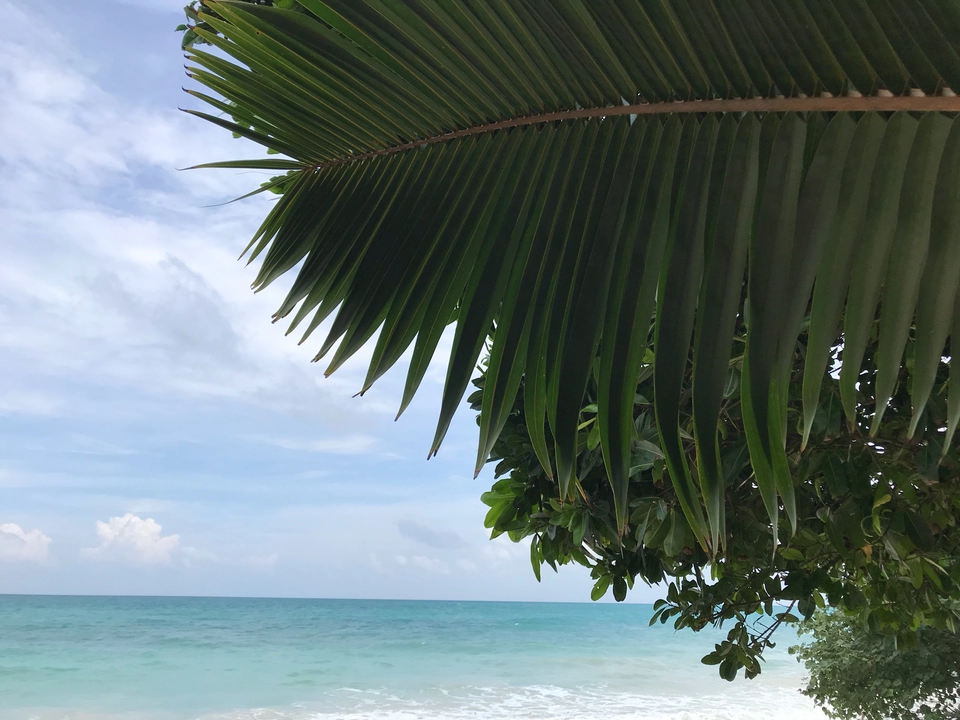 Photo of Havelock Island, Andaman and Nicobar Islands by Nagi Reddy Kaipu