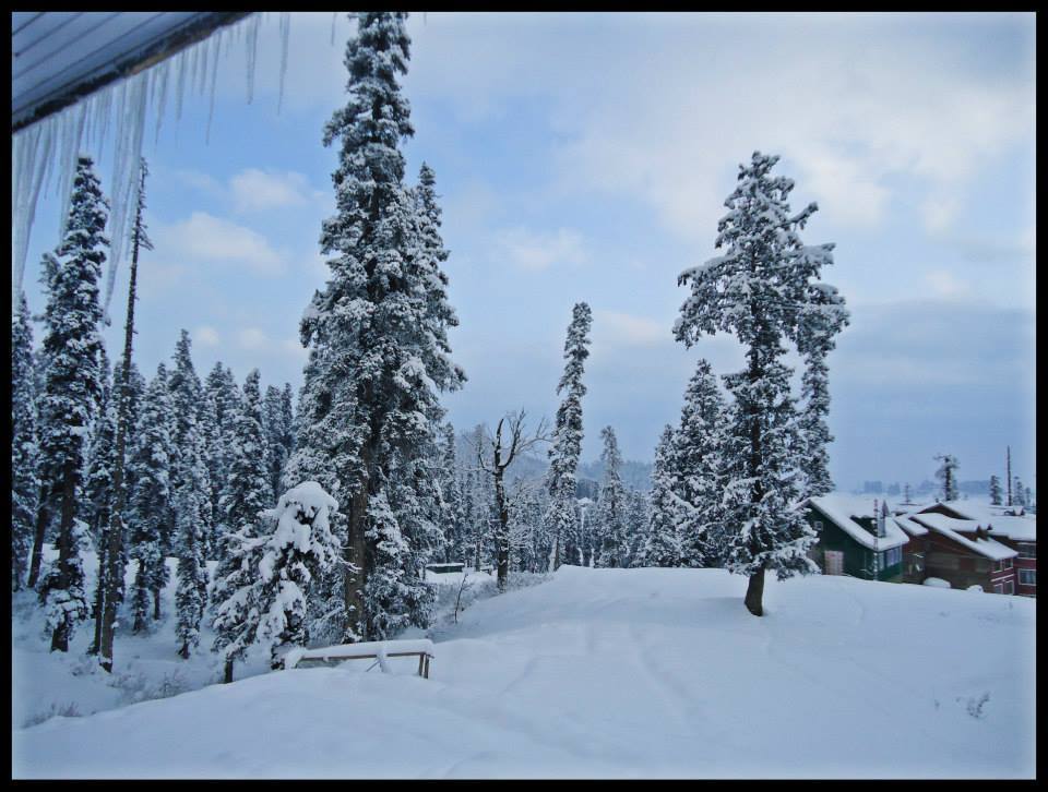 Photo of My perfect day in the snow – Skiing in Gulmarg 1/10 by Ruchika Wason