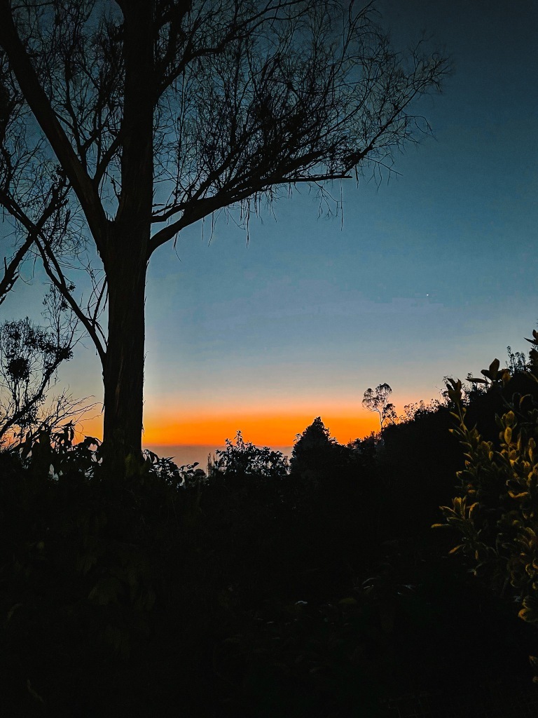 Photo of Chennai to Ooty- an Unforgettable Nilgiris Road Trip 6/15 by ZoomingPlaces