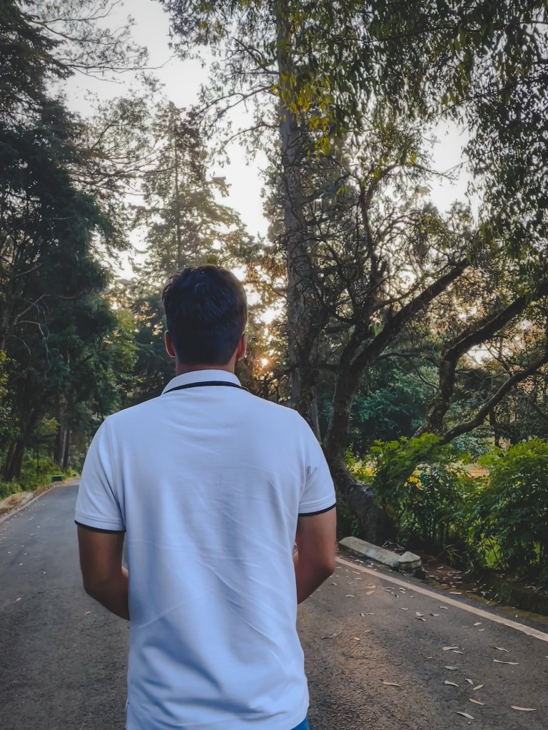 Photo of Chennai to Ooty- an Unforgettable Nilgiris Road Trip 14/15 by ZoomingPlaces