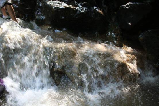 Photo of Jambughoda, Gujarat, India by Mohal Banker