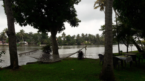 Photo of Snake boat race- " आप पैसा घोड़े पे लगाते हो, मगर मै तो पैसा जोकि पे लगाता हूँ" 2/5 by Mohal Banker