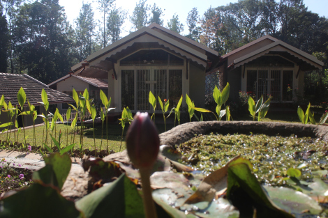 Photo of Chikmagalur & Gokarna- Ideas are no one's monopoly, but to execute the idea is a monopoly. 4/19 by Mohal Banker
